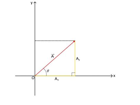 Calcolare Le Componenti Cartesiane Di Un Vettore Scienza FISICA