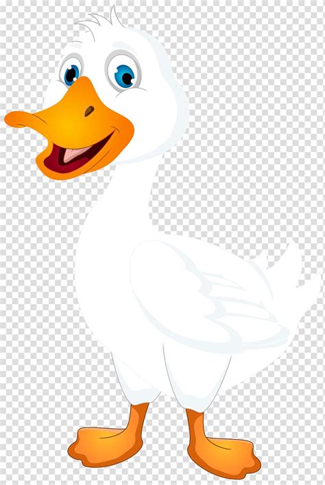 Duck Wearing Sunglasses Clipart 10 Free Cliparts Download Images On