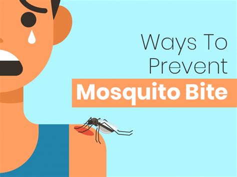 10 Natural Ways To Prevent Mosquito Bites