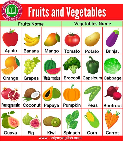 100 Fruits And Vegetables Name In English