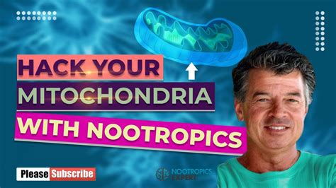 How To Improve Mitochondrial Health Youtube