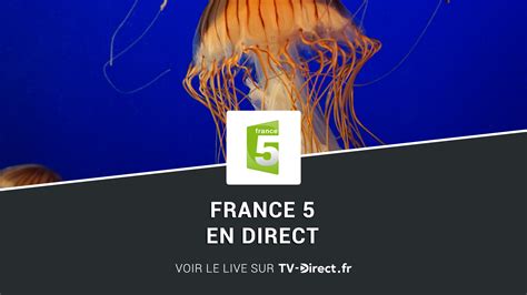 France 5 Direct Regarder France 5 En Direct Live Sur Internet