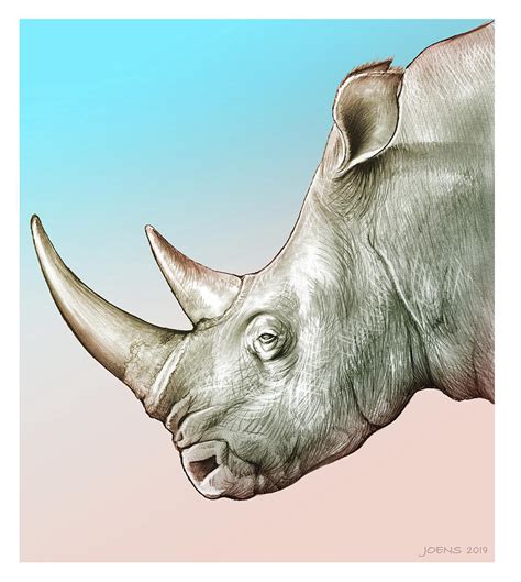 Rhino Drawing By Greg Joens Pixels