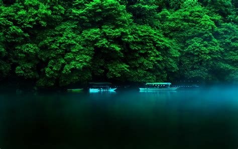 Wallpaper Pemandangan Hutan Tanaman Laguna Kendaraan Perahu