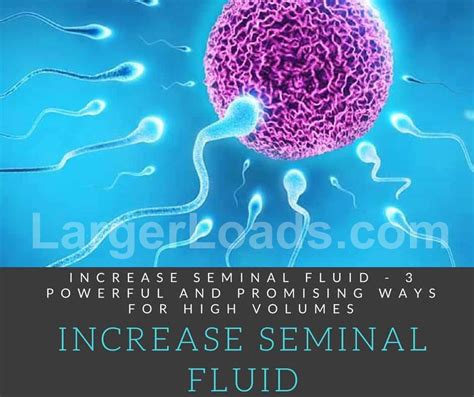 How To Naturally Increase Seminal Fluid