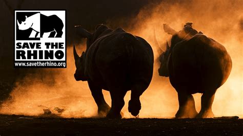 Save The Rhino International Explorers Against Extinction