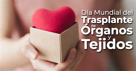 27 De Febrero Día Mundial Del Trasplante De Órganos Y Tejidos Instituto De Salud Para El