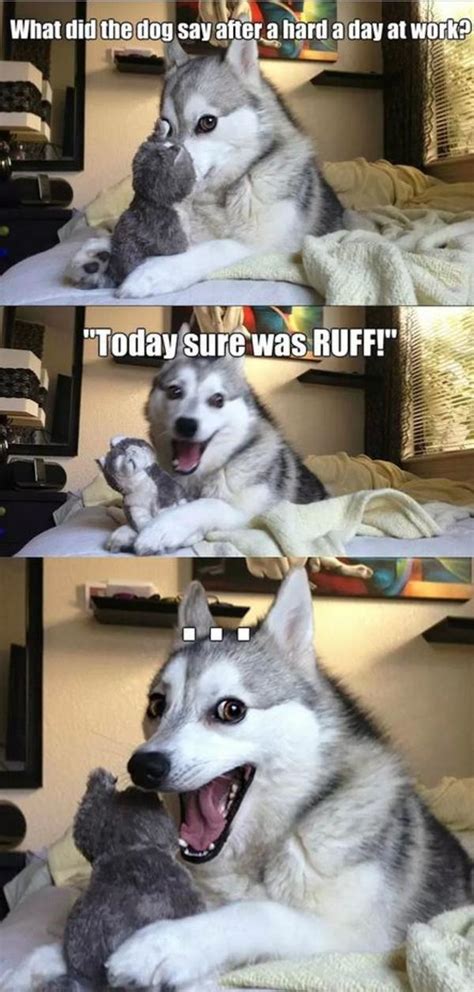 Ruff Pun Dog Know Your Meme