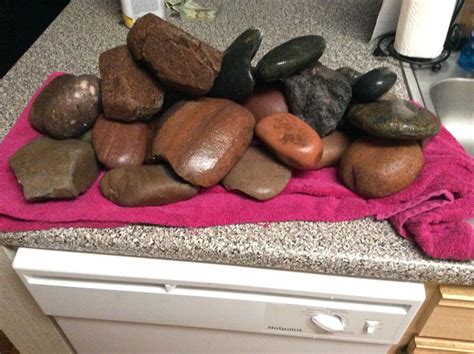 Discovered the free section of Craig's List : r/Aquariums