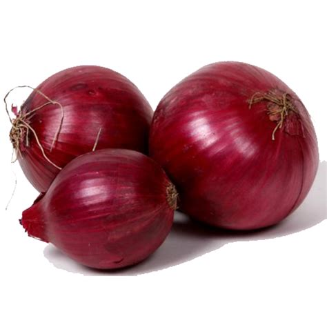 Red Onion 2kg Bag Tgarden Fruit N Veg