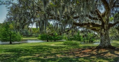 10 Most Beautiful Small Towns In Louisiana