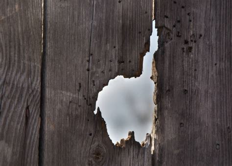 Hole In Wood Fence Stock Photos Pictures And Royalty Free Images Istock
