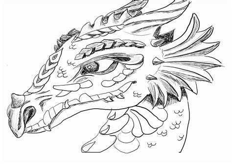 free realistic dragon coloring pages for adults download free realistic dragon coloring