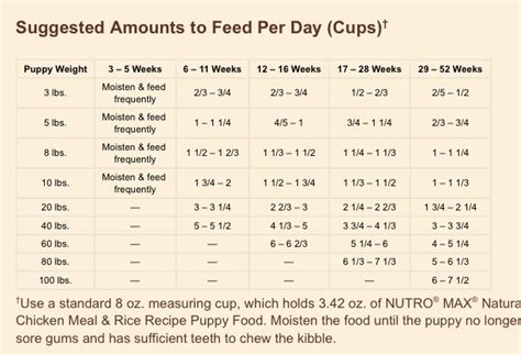 A 10 week old lab puppy should really be showing his appetite now. Nutro Puppy feeding chart | Puppy feeding guide, Puppy ...