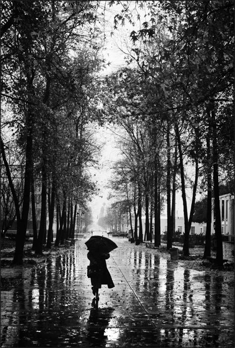 Image 78 Photography Portfolio Of David Crane One Second Rain