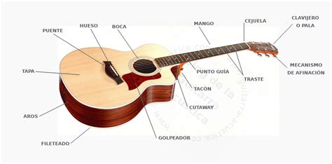 Partes De Una Guitarra Ac Stica Descripci N El Blog De La Guitarra