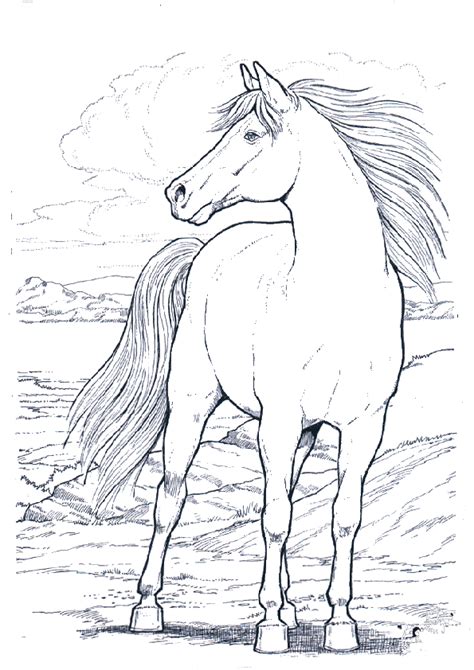 Pferde malbuch für erwachsene kinder jungs und mädchen: ausmalbilder, malvorlagen, ausmalen , pferde 22 | Ausmalbilder Malvorlagen
