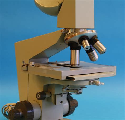 Compound Achromatic Microscope Binocular Tube Type Ergaval