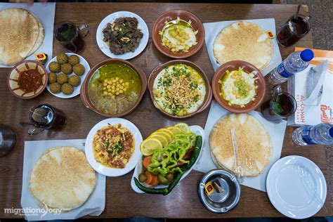 Jordanian Food Of The Best Dishes You Should Eat Beplay