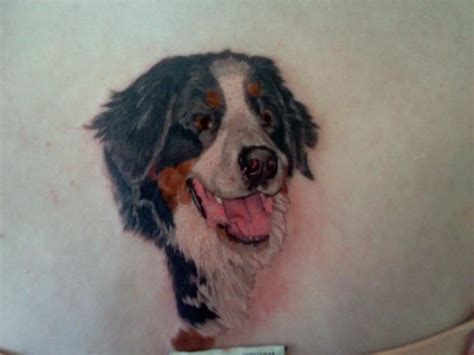 The 14 Most Gorgeous Bernese Mountain Dog Tattoo Ideas Page 2 The Paws