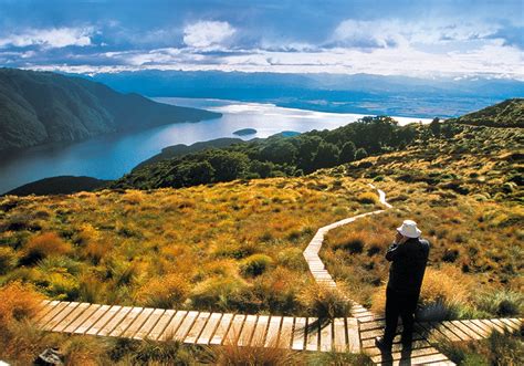 Te Anau Trails Tastes And Tours Motorhomes Caravans And Destinations Nz