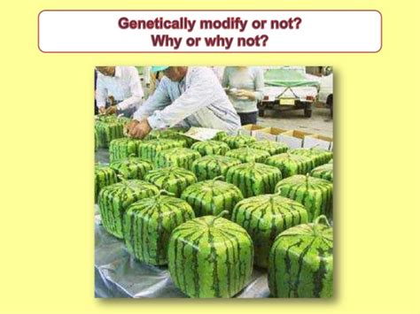 Transgenic organisms are organisms whose genetic makeup has been altered by the addition of genetic material from an unrelated organism. Genetically Modified Organisms
