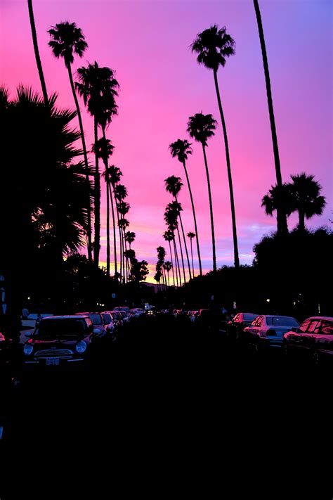 Wallpaper Sunset Palm Trees Road Car California 1280x1920
