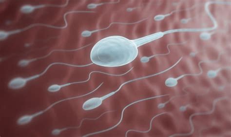 Sperm Count Drinking More Than Three Cups Of Coffee A Day May Harm Male Fertility Uk