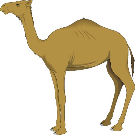 Your resource to discover and connect with designers worldwide. Camel Clip Art at Clker.com - vector clip art online ...