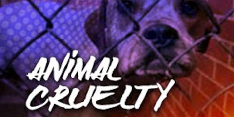 New Animal Cruelty Bill Will Protect Animals In Mississippi Like Never