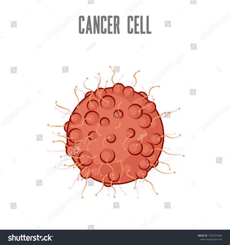 Tumor Cell Cartoon Stock Illustrations 263 Tumor Cell Cartoon Stock Illustrations Vectors