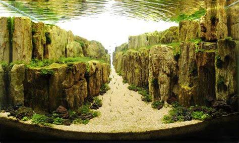 #nature aquarium #aquascaping #planted aquarium #takashi amano. 21 Fish Aquarium Designs by Takashi Amano | Pets World