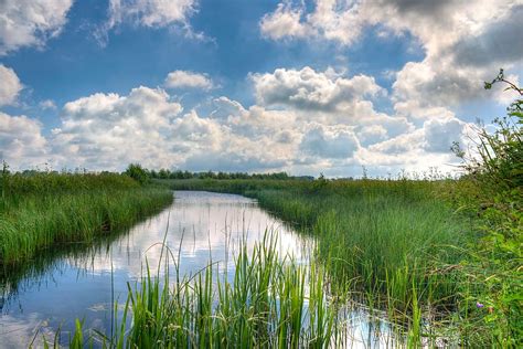 Hd Wallpaper Green Grass Near River With Cloudy Skies Sky Blue Hdr