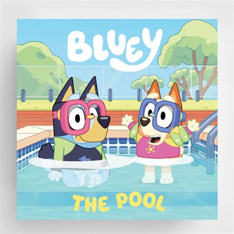 Bluey The Pool Board Book Ts Australia