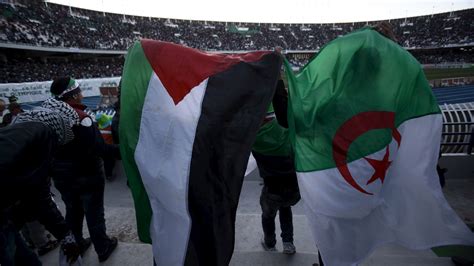 For faster navigation, this iframe is preloading the wikiwand page for فلسطين. شعب ورايتان.. فلسطين في قلب حراك الجزائر