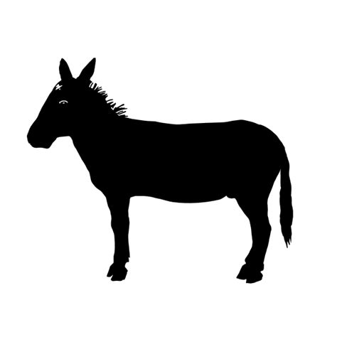 Donkey vector image | Free SVG