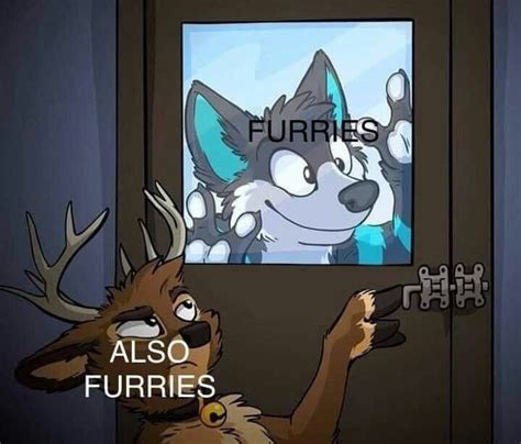 Top 5 furry meme piggy. Another wonderful headphone meme 839358449281621081 ...