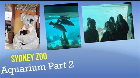 Sydney Zoo Aquarium Part 2 By Mommy O Youtube