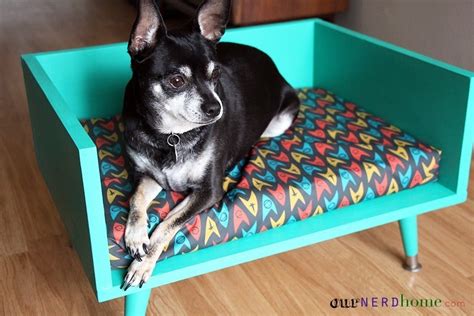 Let me tell you all the different ways you can show your cat how much you love them with 55 tips on how to make your indoor cat happy! Mid Century Modern Style Pet Bed · How To Make A Pet Bed ...