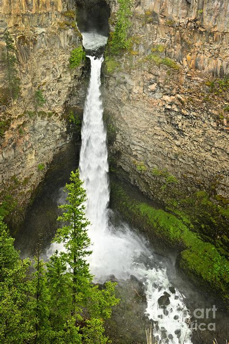Spahats Falls Waterfall In Wells Gray Provincial Park Photograph By