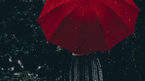 Woman Holding Umbrella During Rain Hd Photo Hd Wallpapers