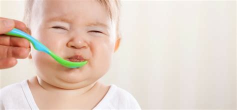 ¿tu Bebé No Quiere Comer 10 Cosas Que Puedes Hacer