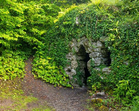 A Tree Falling Dromoland Castle Part Ii Castle Castle Parts Photo