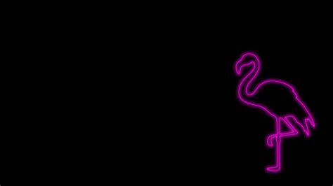 Masaüstü 4k Neon Pembe Siyah Arka Plan Minimalizm Flamingo