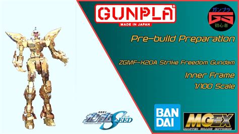 Gunpla Pre Build Preparation Mgex Zgmf X20a Strike Freedom Gundam