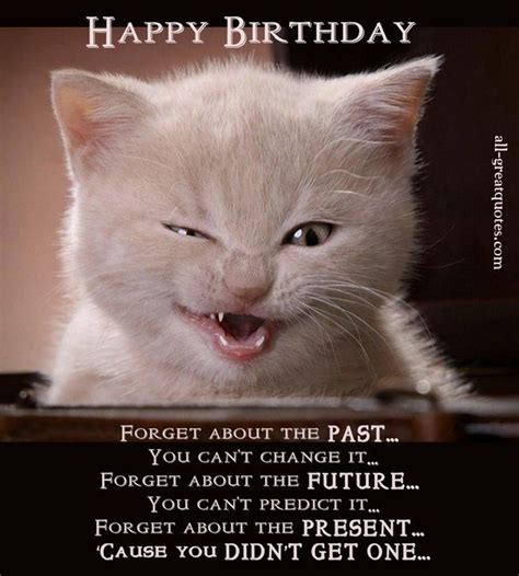 Cat Funny Birthday Wishes Video The Cake Boutique