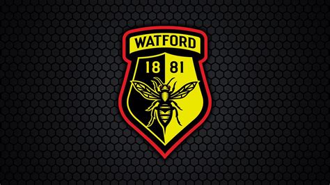 Watford fc logo logo vector. 51% 🆚 49% Unofficial Vote - All About Final Watford Logo ...