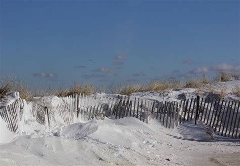Photo Print Sand Dunes Winter Beach Scenes Sandy Neck Beach