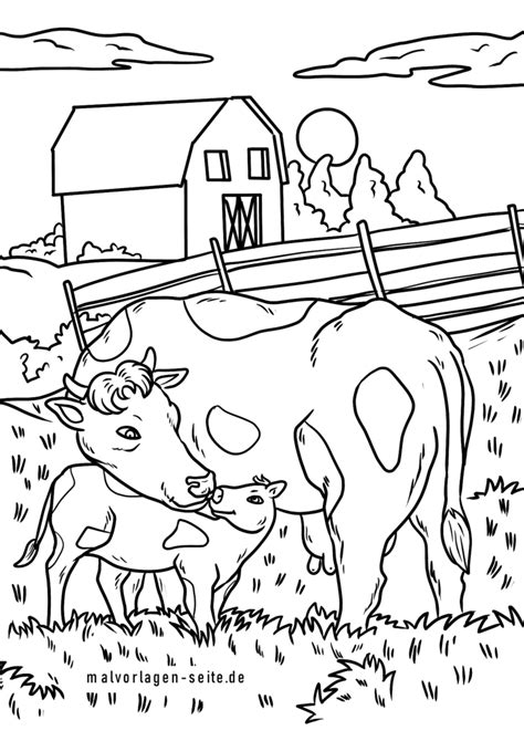 Malvorlage Kuh Bauernhof Kühe Ausmalbild Kostenlos Herunterladen