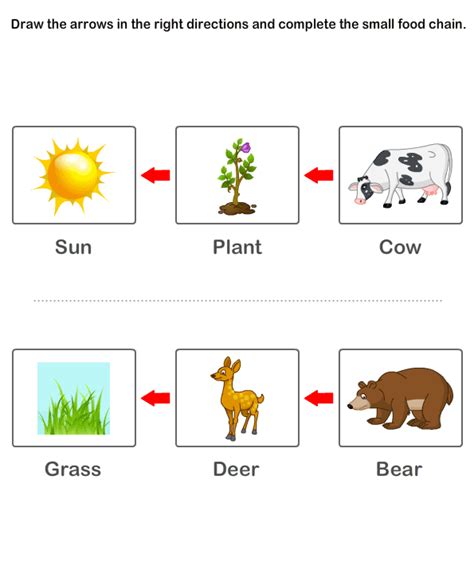 Free Printable Kindergarten Worksheets Worksheets On Food Chain